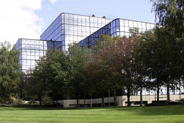 Commercial Tree Trimming in Manchester