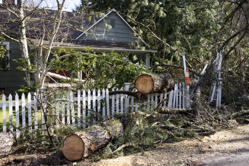 Fallen Tree on Commercial Property