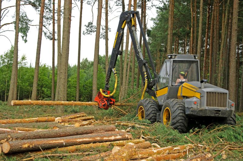 Tree Removal Equipment